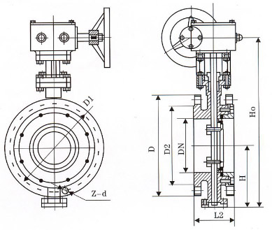 日標(biāo)蝶閥結(jié)構(gòu)示意圖